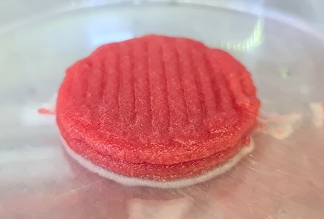 Carne 'impressa' em laboratório na Bahia vence prêmio de inovação do Nordeste; entenda como proteína é feita