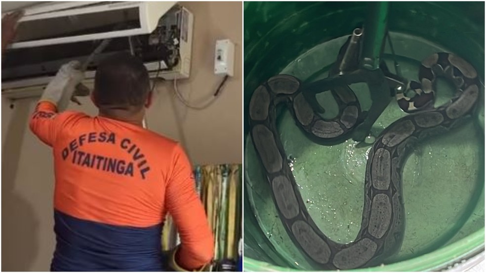 Jiboia é resgatada dentro de ar-condicionado na Secretaria da Juventude e Esporte de Itaitinga. — Foto: Defesa Civil de Itaitinga/ Divulgação