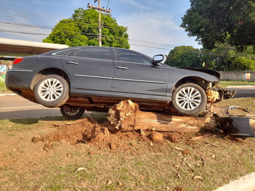 Carro foi parar em cima de tronco de árvore — Foto: Divulgação/ATTM