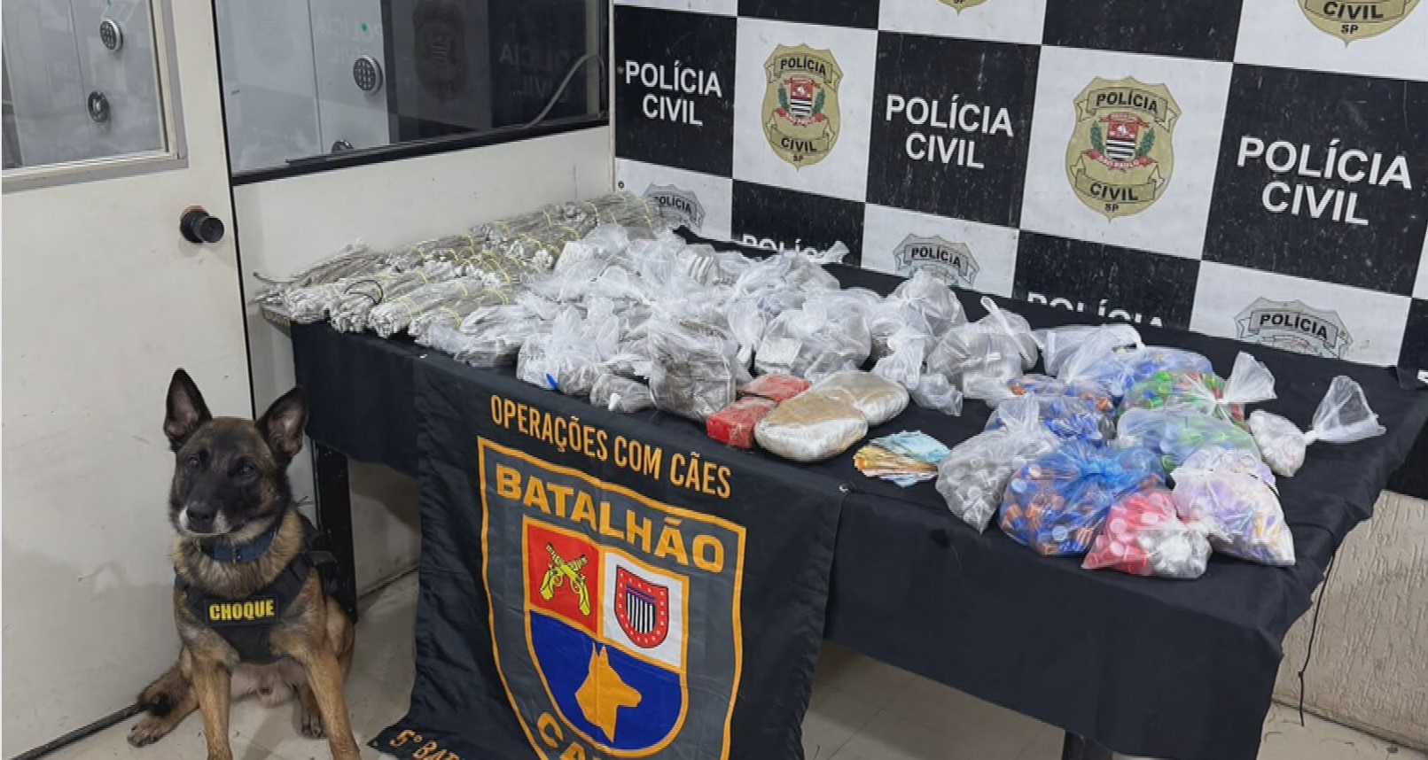 Cão farejador da PM encontra drogas escondidas dentro da parede de um imóvel na Zona Oeste de SP