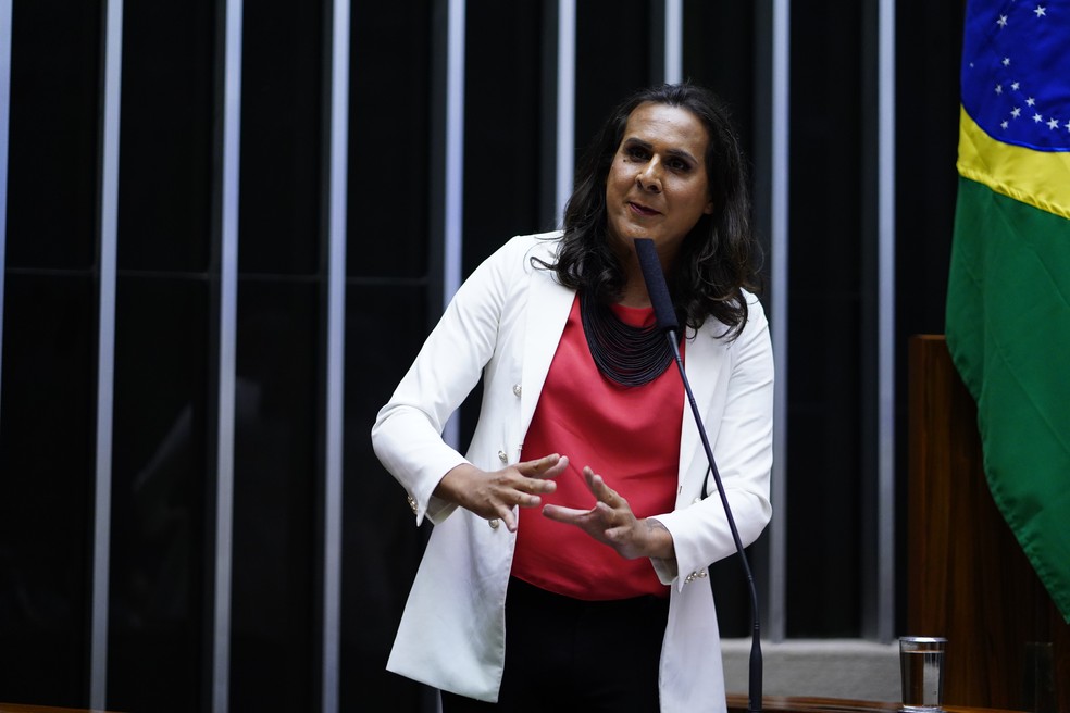 A deputada Duda Salabert discursa no plenário da Câmara — Foto: Pablo Valadares/Câmara dos Deputados