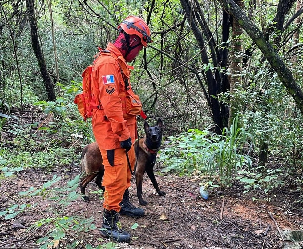 Bombeiros chegou a fazer buscas em uma região de mata na Serraria, mas corpo foi achado a noite, no Benedito Bentes — Foto: CBM-AL