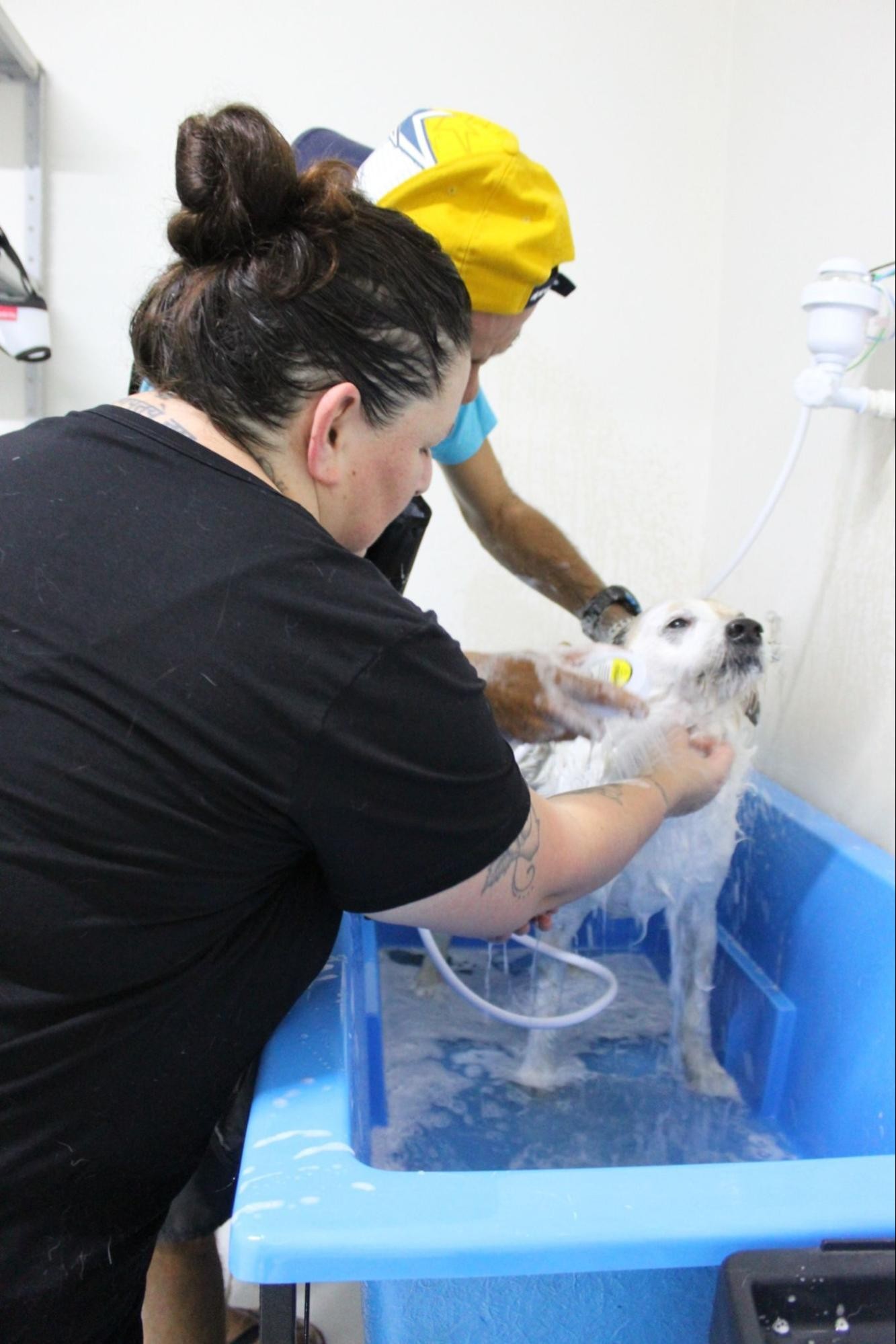 Centro de Convivência Dia em Florianópolis  tem novo curso para capacitação de pessoas em situação de rua 
