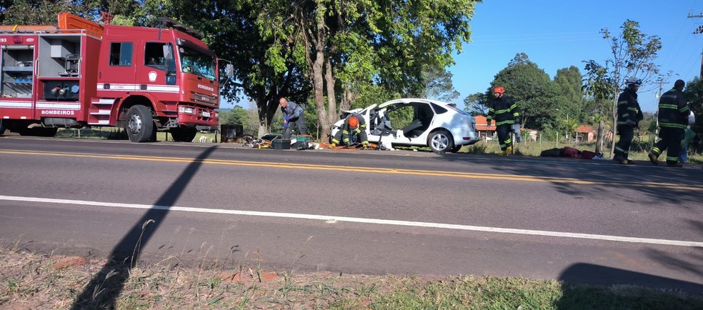 Casal ficou ferido após carro bater em árvore na Rodovia Júlio Budiski (SP-501), em Alfredo Marcondes (SP) — Foto: Cedida