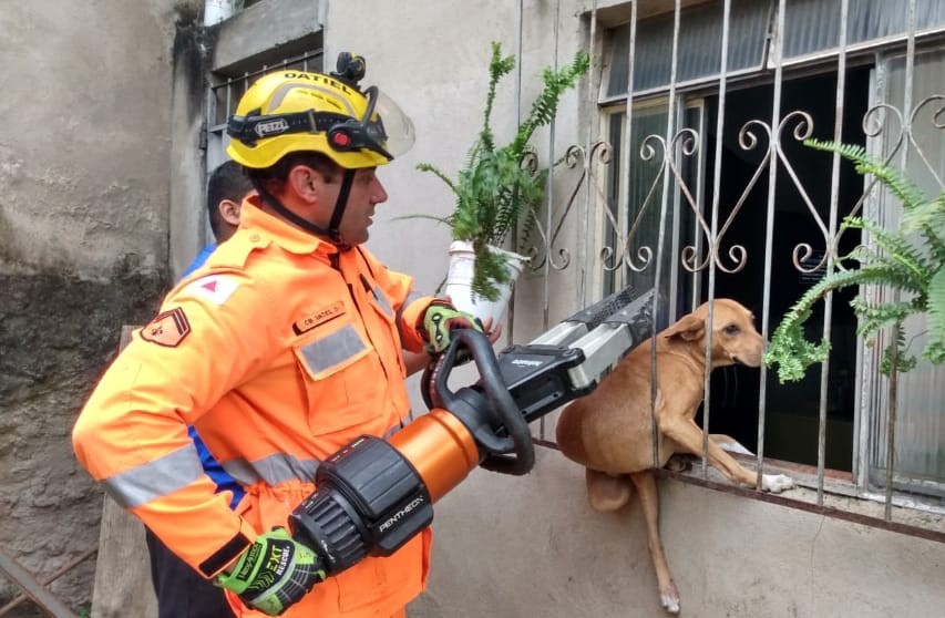 Deu ruim: Cachorro fica preso em grade de janela e mobiliza bombeiros em Barbacena