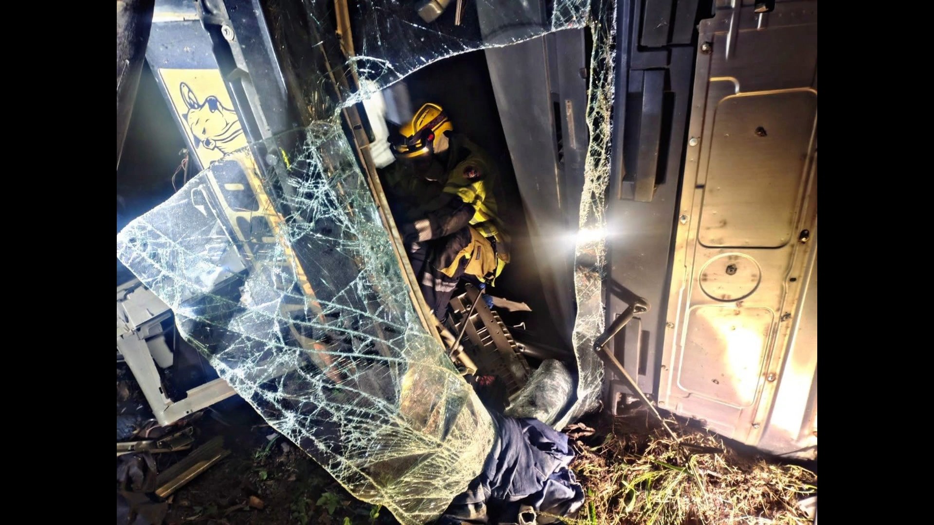 
Caminhão com bois tomba na BR-381e deixa dois feridos