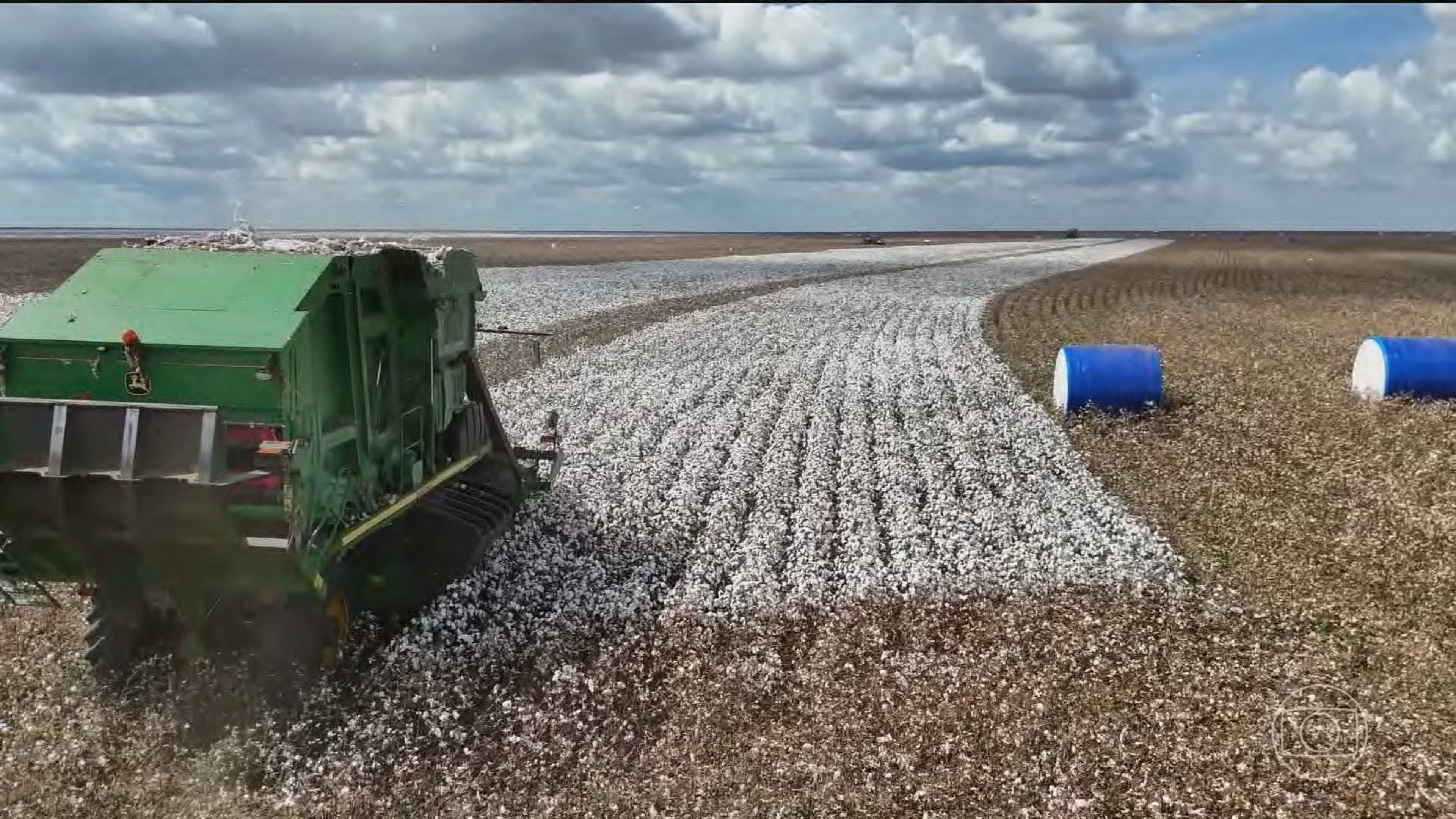 Índia se destaca como destino para os produtos brasileiros; exportações para o país batem recorde
