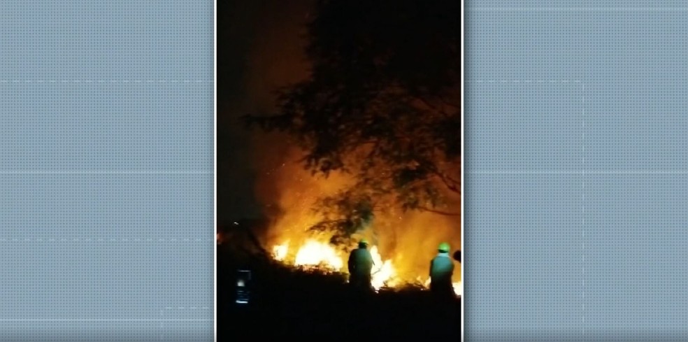 Incêndio atinge Instituto Biológico de Campinas — Foto: Reprodução/EPTV