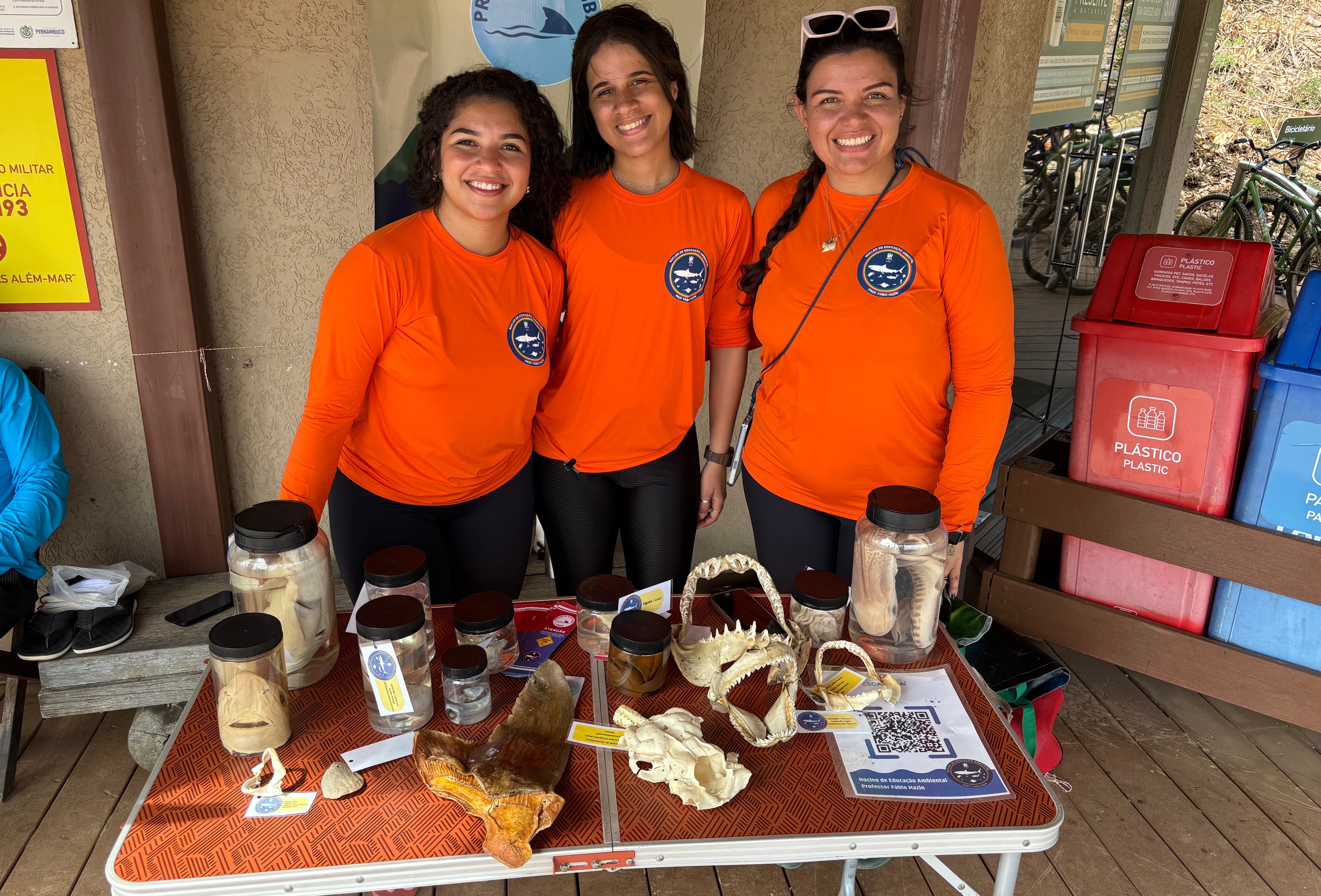 Projeto Ecotuba promove ação de educação ambiental para prevenir incidentes com tubarões em Fernando de Noronha