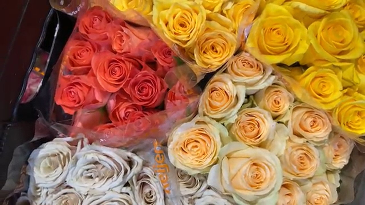 Flores, chocolates e pelúcias: Ceaflor espera alta de até 8% nas vendas de Dia das Namorados