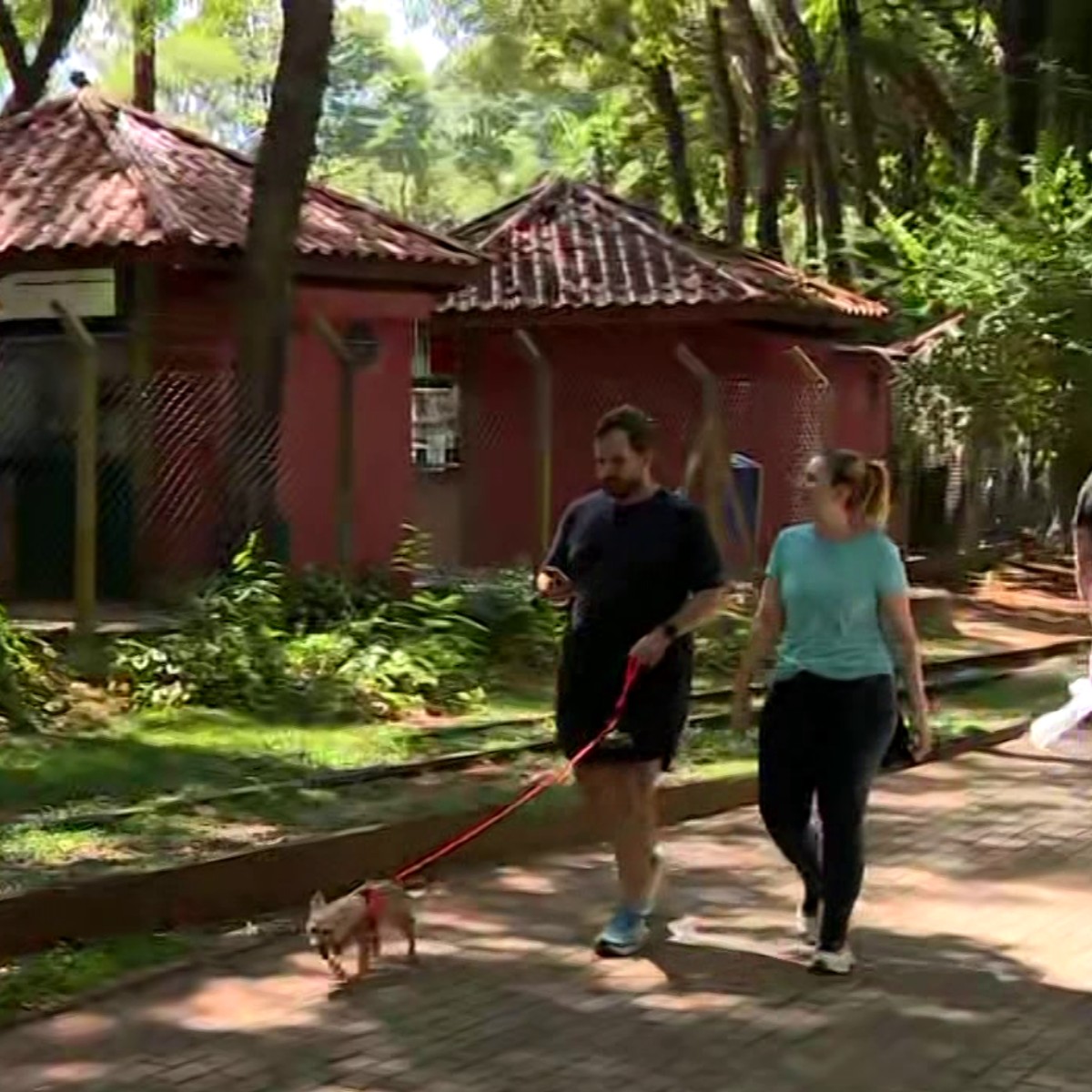 Campinas libera entrada de pets em parques e praças esportivas; Bosque dos Jequitibás segue proibido
