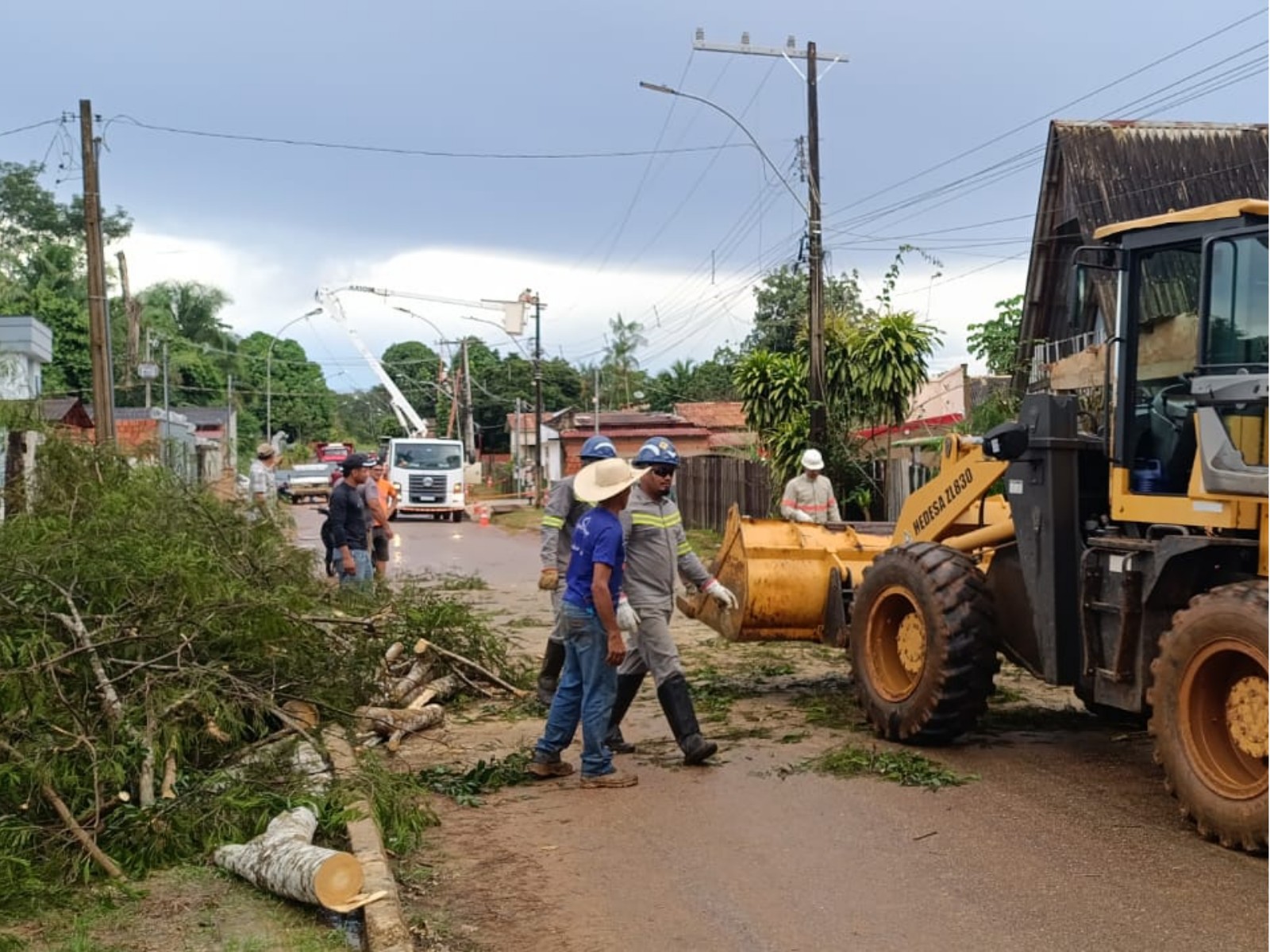 Chuvas e ventos causam queda de árvores em cidades do Acre; VÍDEO