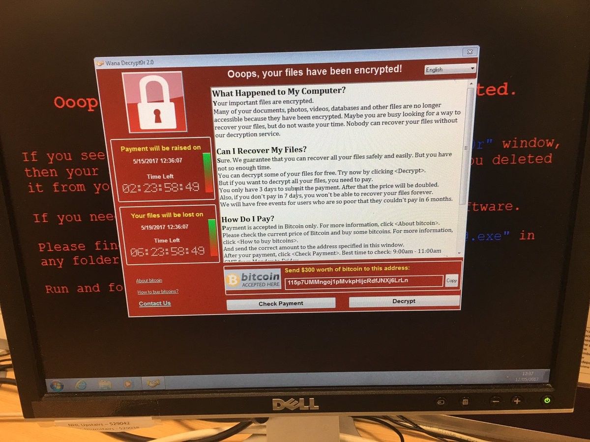 Une attaque de pirate informatique « sans précédent » suscite l’inquiétude dans le monde entier |  Technologie