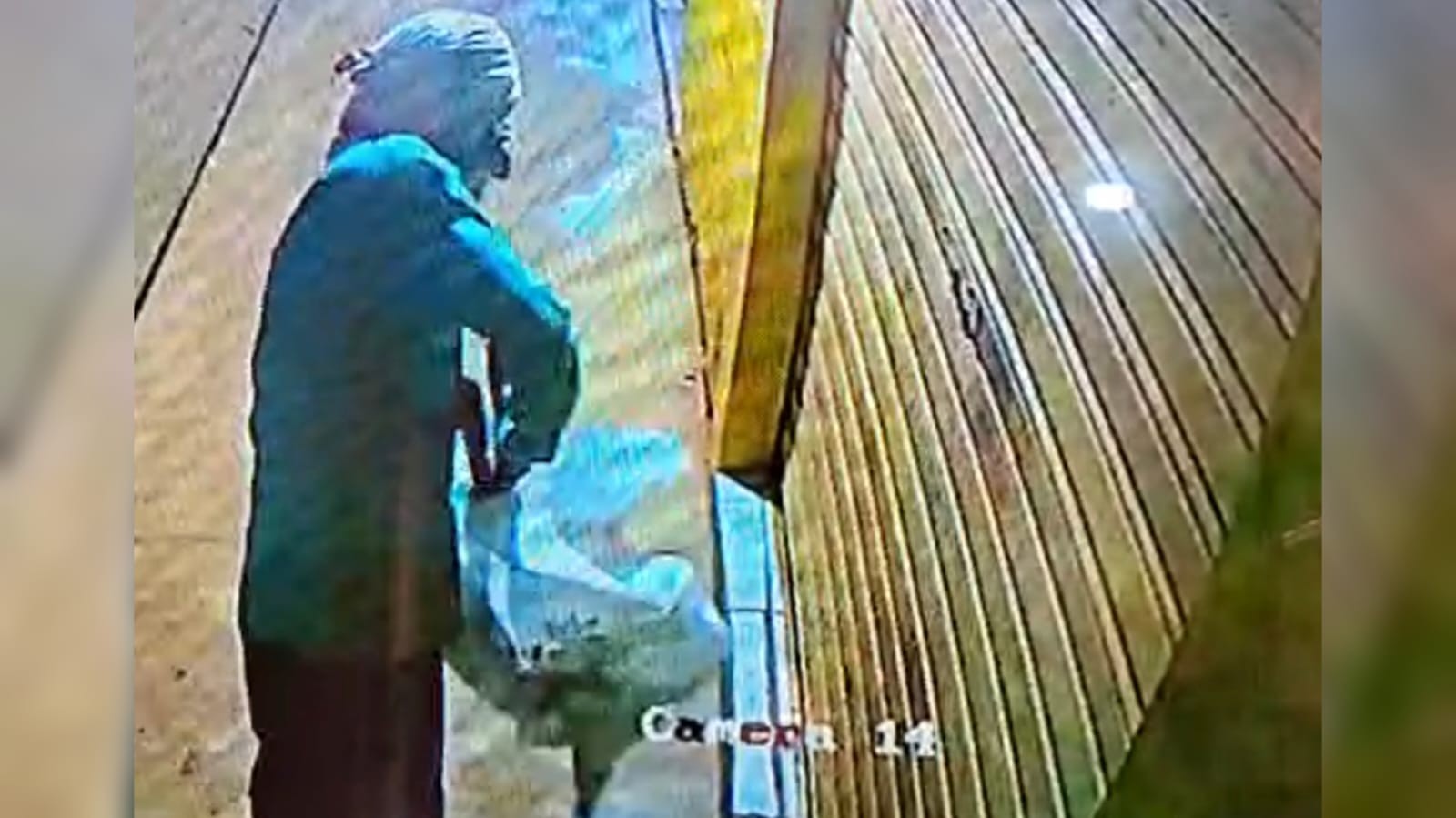 VÍDEO: Jovem arromba açougue com alicate, furta 25 kg de carne e é preso em Alenquer