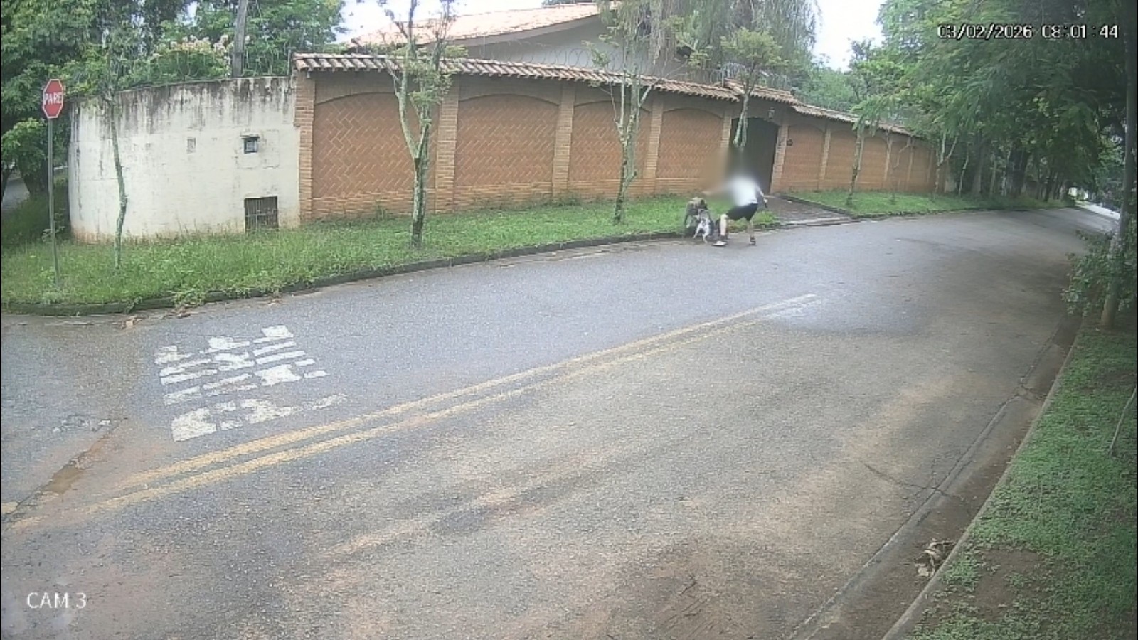 VÍDEO: homem fica ferido ao salvar cães de ataque de cachorro solto na rua em Sorocaba