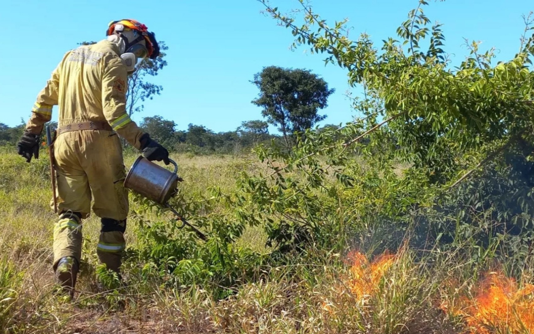 Fogo e seca: MS suspende queima controlada, técnica usada para prevenir incêndios no Pantanal