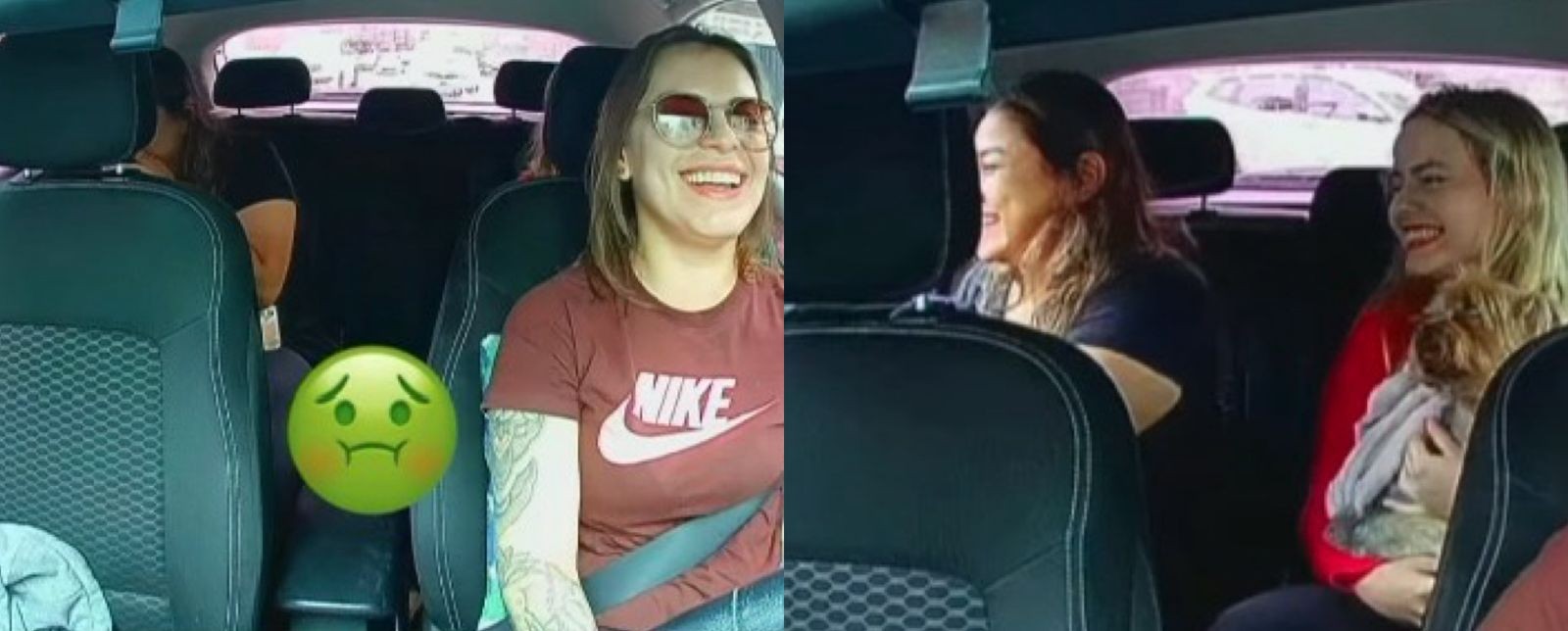 VÍDEO: Cachorro solta puns durante corrida de aplicativo em SC e cena viraliza