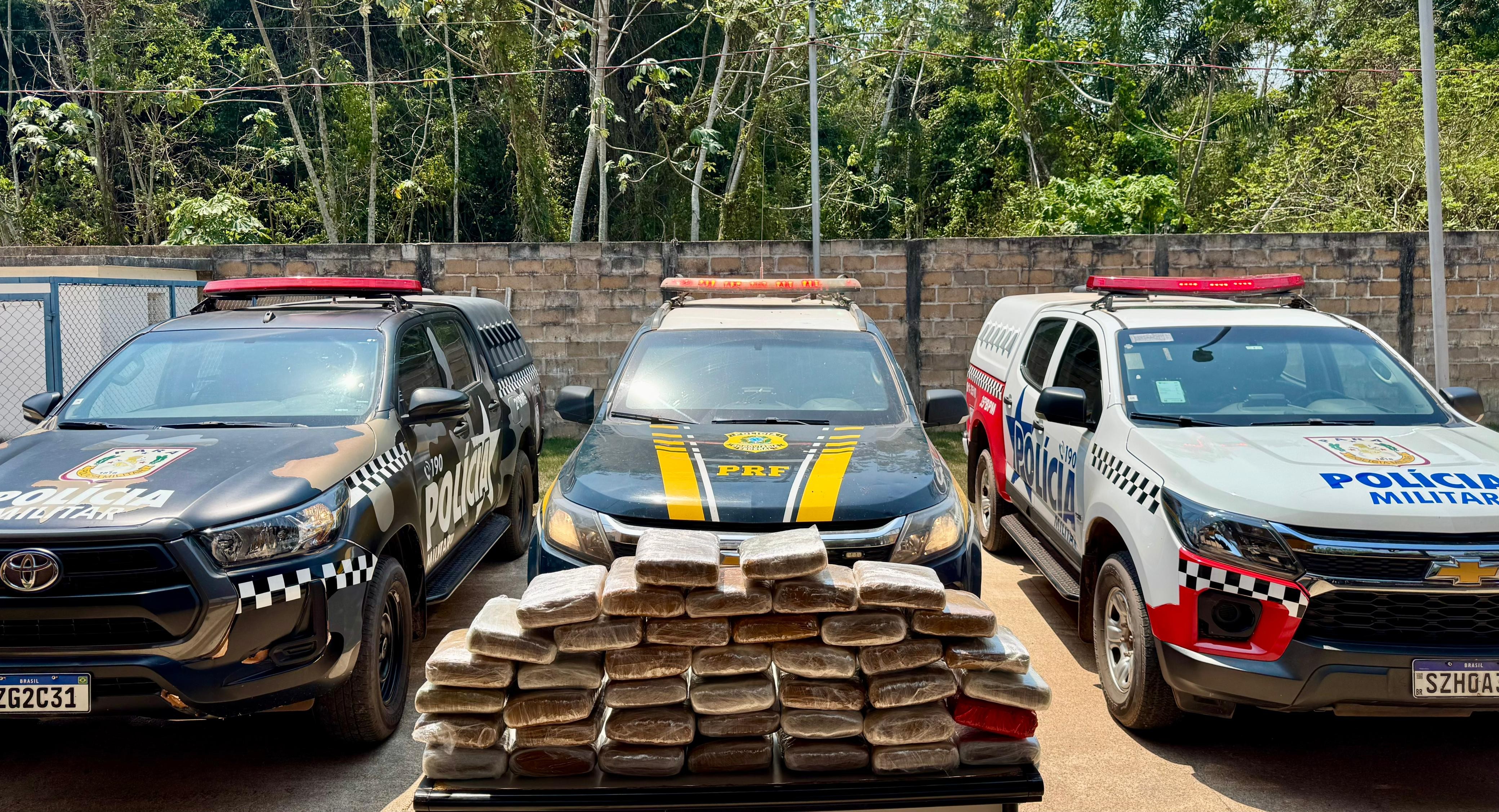 Operação conjunta resulta na apreensão de mais de 45 kg de droga e prisão de suspeito em Santarém