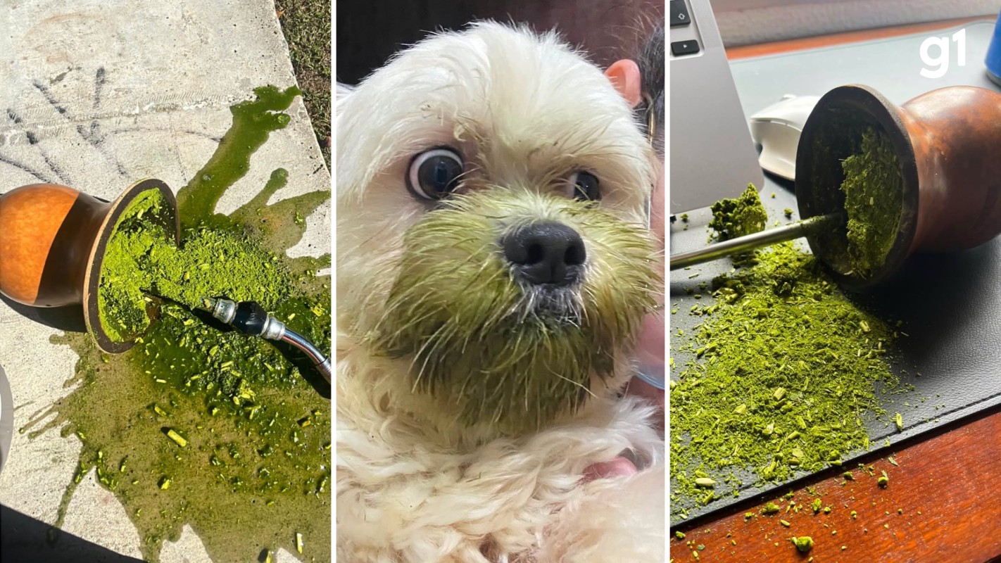 'Mates derrubados': perfil que reúne desastres com chimarrão faz sucesso