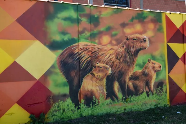 Artista pinta muro de 150 metros em homenagem aos 35 anos de