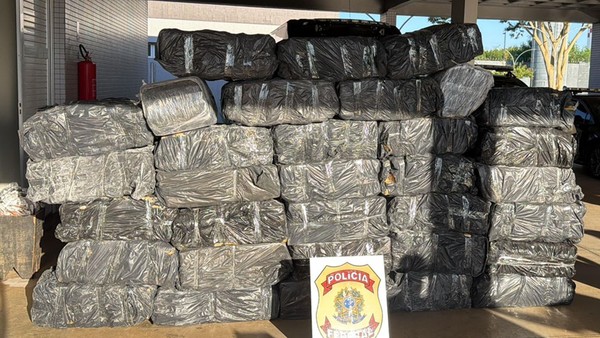 PF apreende mais de 1 tonelada de maconha escondida em carga de mandioca no interior de SP