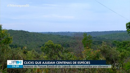 Animais do Parque Estadual de Lajeado são monitorados por câmeras