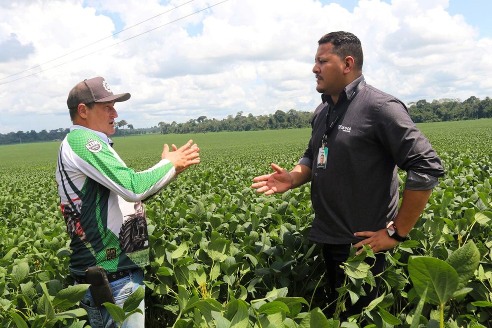 Primeira safra de soja é acompanhada de perto pelo gerente Regional da cooperativa, Ermesson Fidelis, em Candeias do Jamari. — Foto: Divulgação