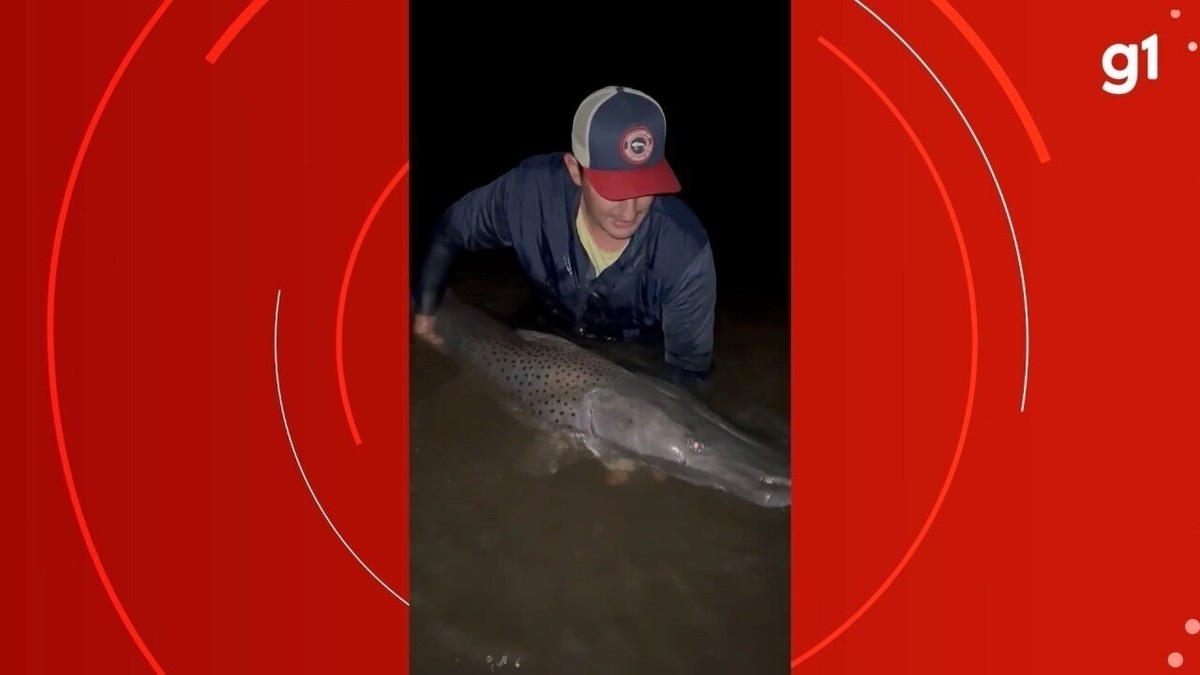 Pescador que viralizou ao resgatar garça no MS conta detalhes por