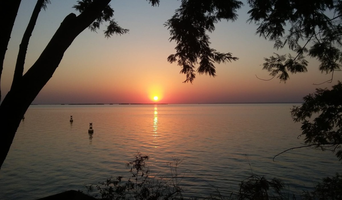 Você Não Tá Convidada pro Meu Bat Mitzvá!