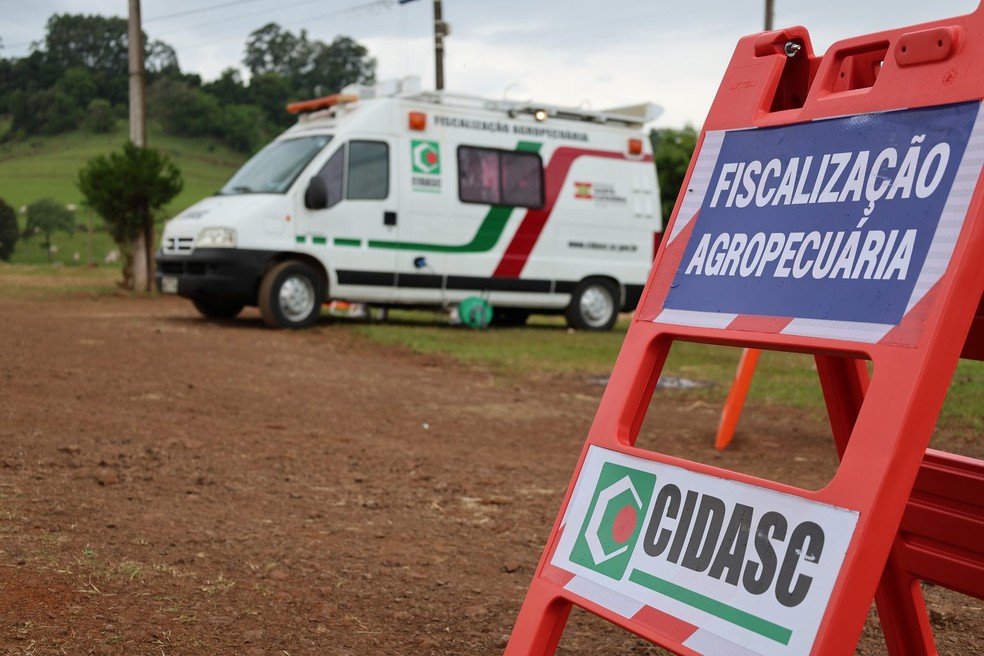 Fiscalização agropecuária da Cidasc contra a doença de Newcastle — Foto: Kelly Magri/Cidasc
