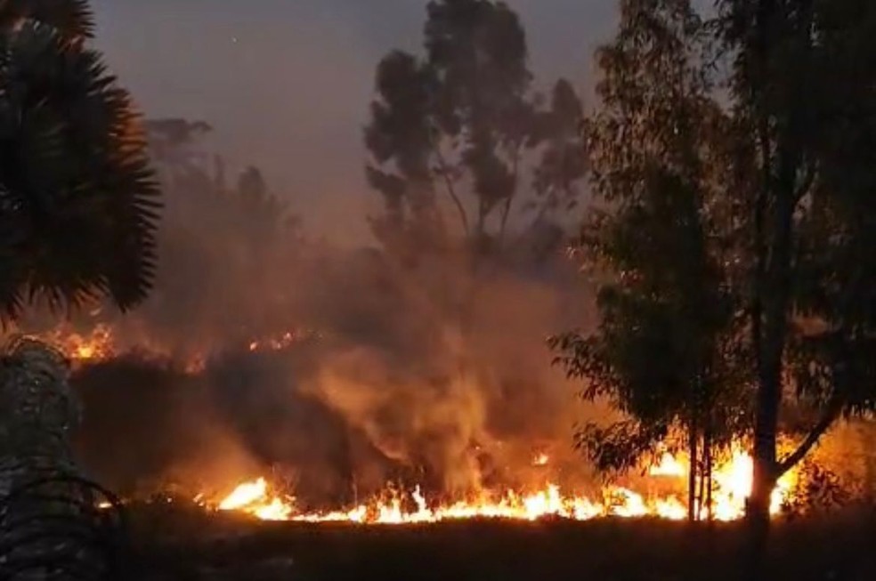 Incêndio atingiu área de mata próximo a condomínio em Araruama — Foto: Reprodução redes sociais