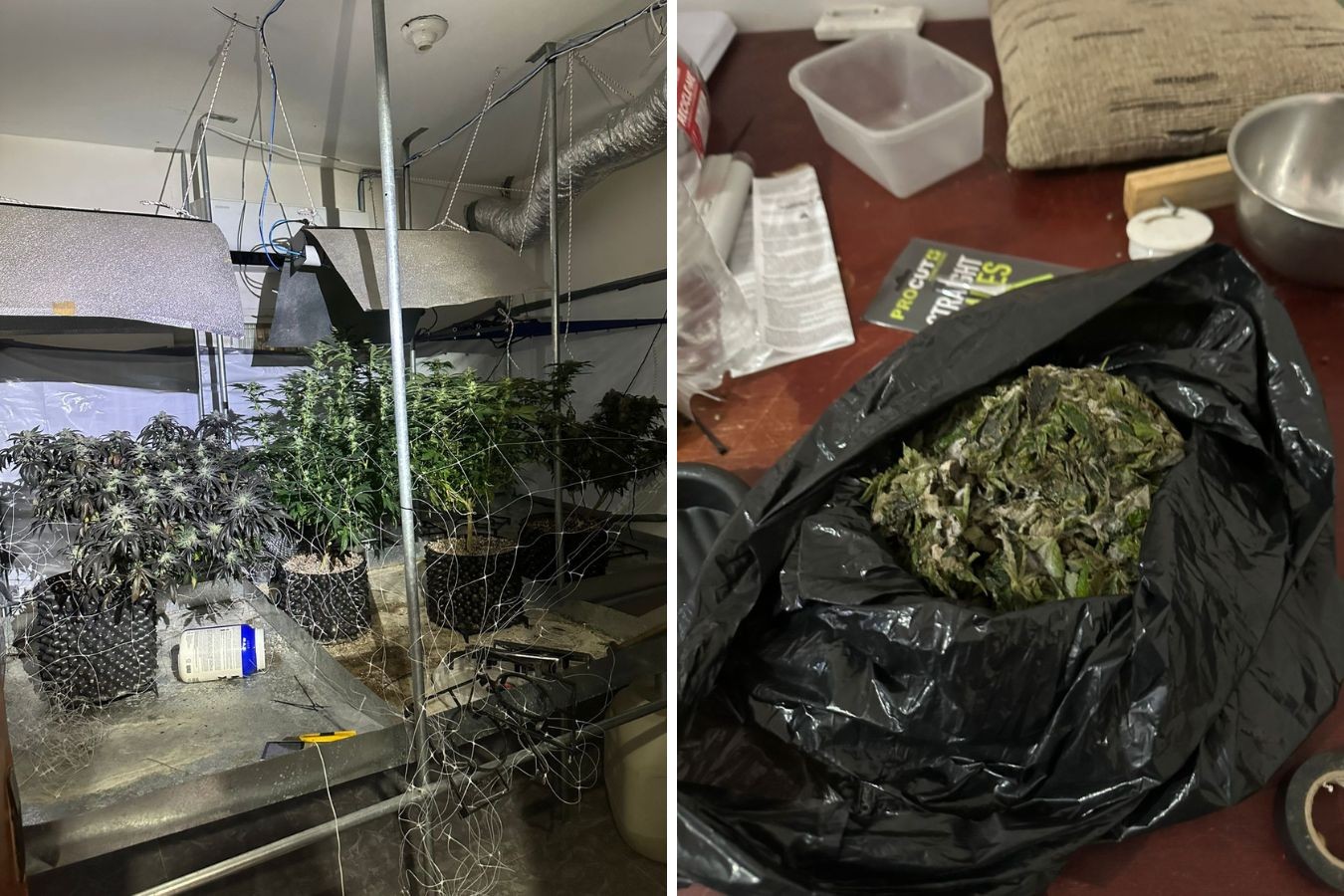 PM localiza casa com estufas usadas para plantar maconha em Campinas