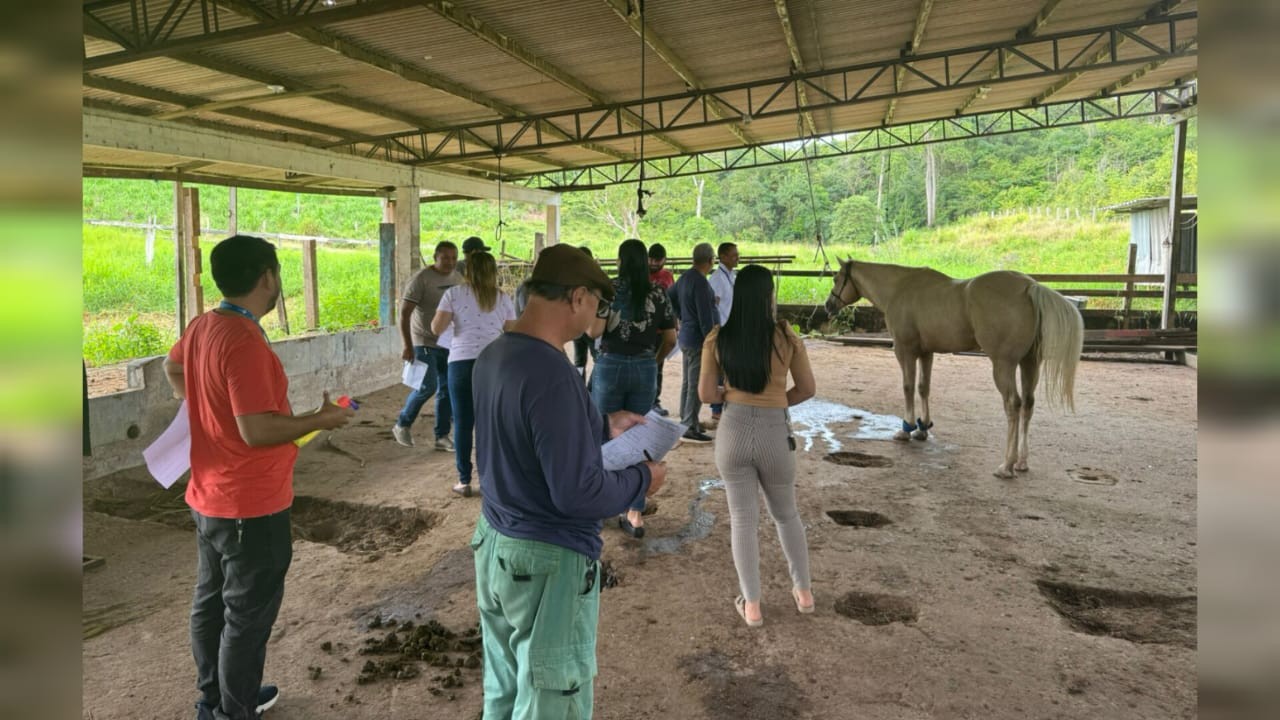 Vigilância Animal recebe capacitação sobre doenças equinas em Santarém
