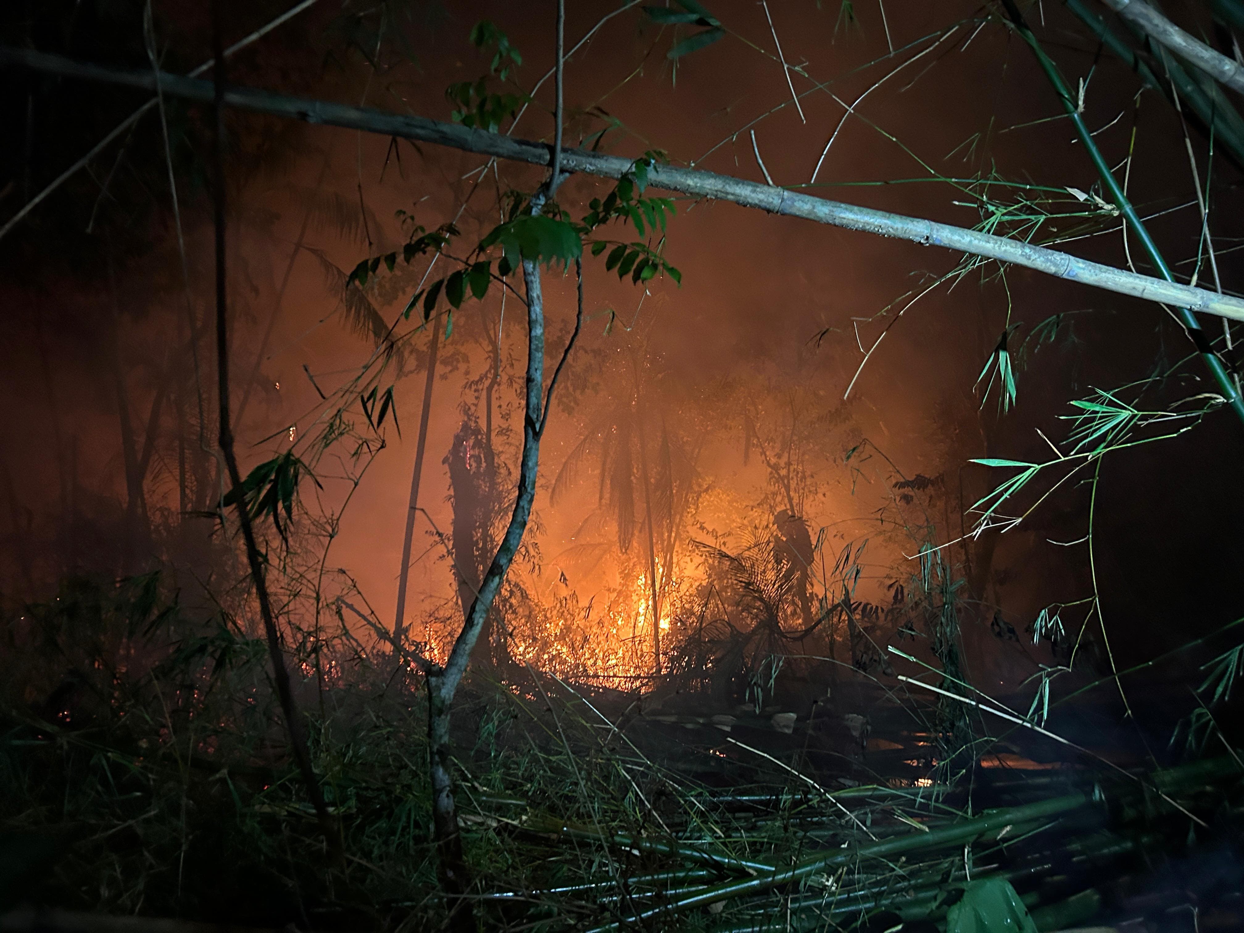 Incêndio atinge área de mata e assusta moradores no bairro da Marambaia, em Belém