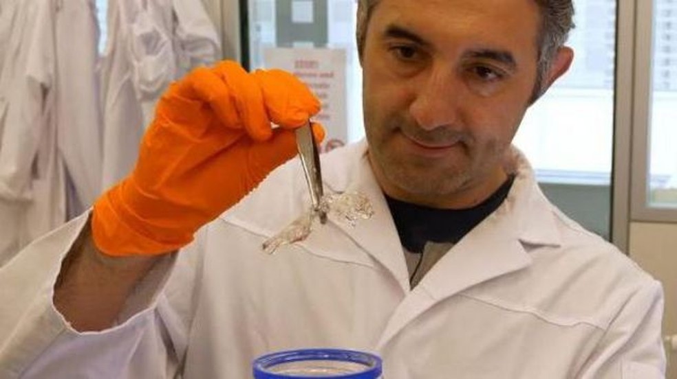 Ali Ertürk descobriu como tornar um camundongo transparente em 2018 e, desde então, aperfeiçoou o método — Foto: DIVULGAÇÃO/HELMHOTZ MUNICH