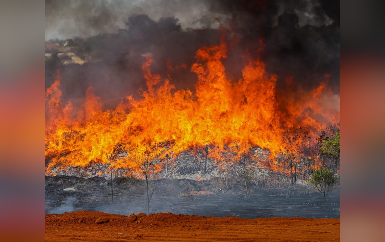 Incêndio de grandes proporções atinge área de mata no interior de SP