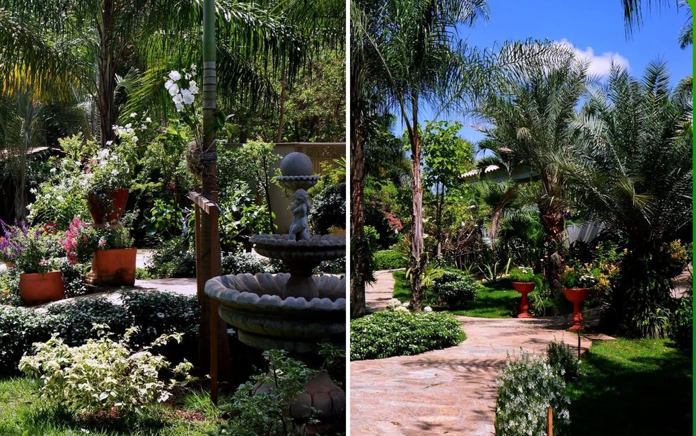 Goiana é finalista de concurso que elege o jardim mais bonito do Brasil