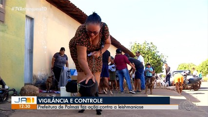 Prefeitura realiza ação contra a leishmaniose em cães da região Sul de Palmas