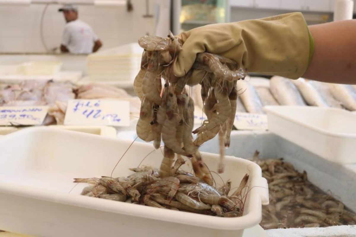 Você Não Tá Convidada pro Meu Bat Mitzvá!