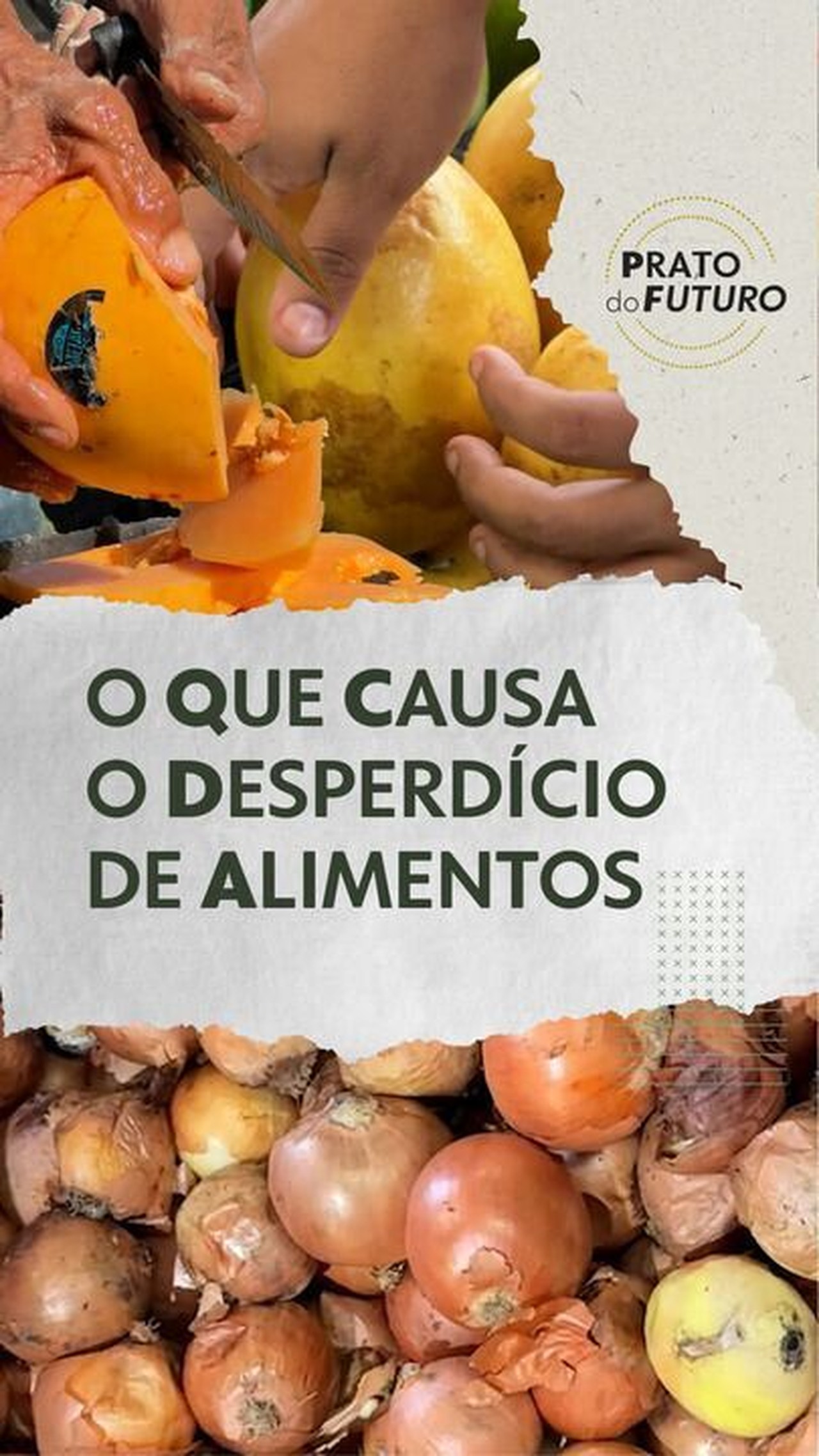 Do campo à geladeira: por que há tanto desperdício de alimentos no Brasil, enquanto milhões passam fome