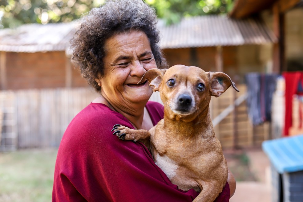 Dona Maria cuida de 110 animais resgatados de maus tratos e abandonados em Araraquara (SP). — Foto: Amanda Rocha/g1