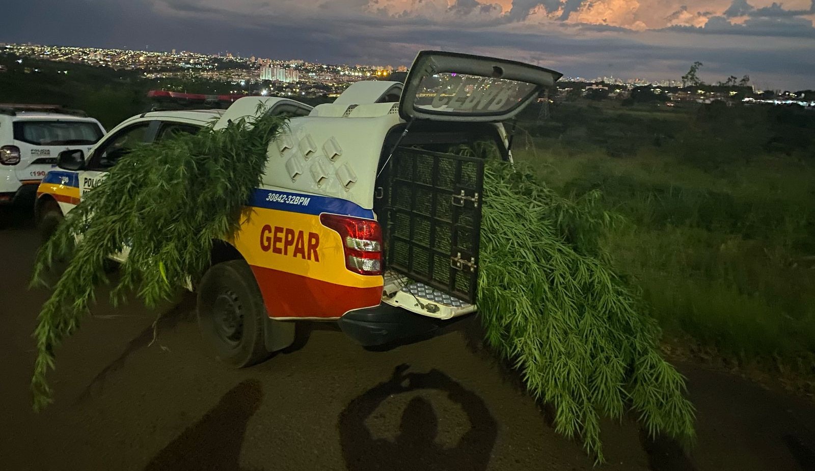 VÍDEO: Pé de maconha na viatura da PM chama atenção nas ruas de Uberlândia 