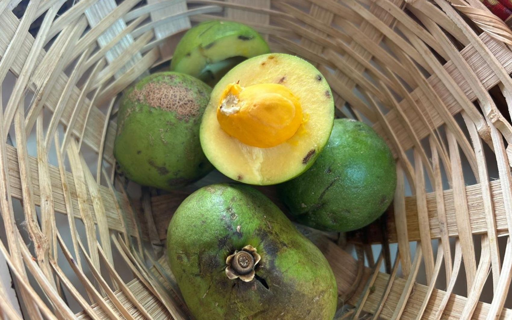 Festa Nacional do Pequi começa nesta sexta-feira em Montes Claros; veja a programação