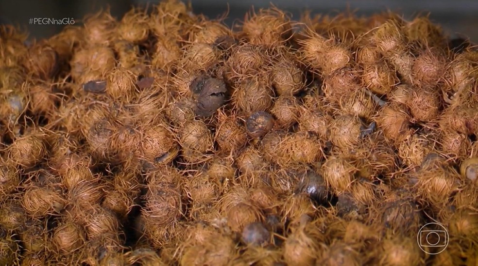 Do lixo ao lucro: empreendedor fatura R$ 230 mil com caroço de açaí — Foto: Reprodução/PEGN