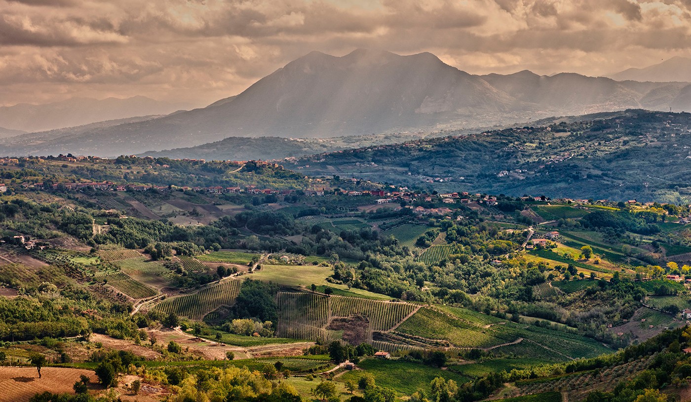 Além da Toscana: conheça vinhos italianos subestimados 