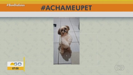 VÍDEOS: Bom Dia Goiás desta terça-feira, 21 de abril de 2026