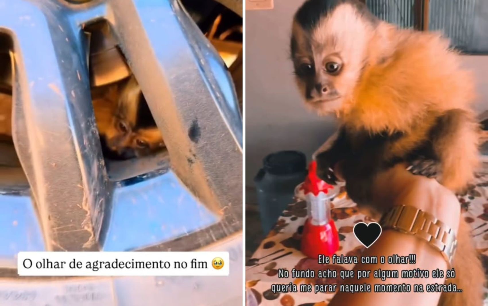Você Não Tá Convidada pro Meu Bat Mitzvá!