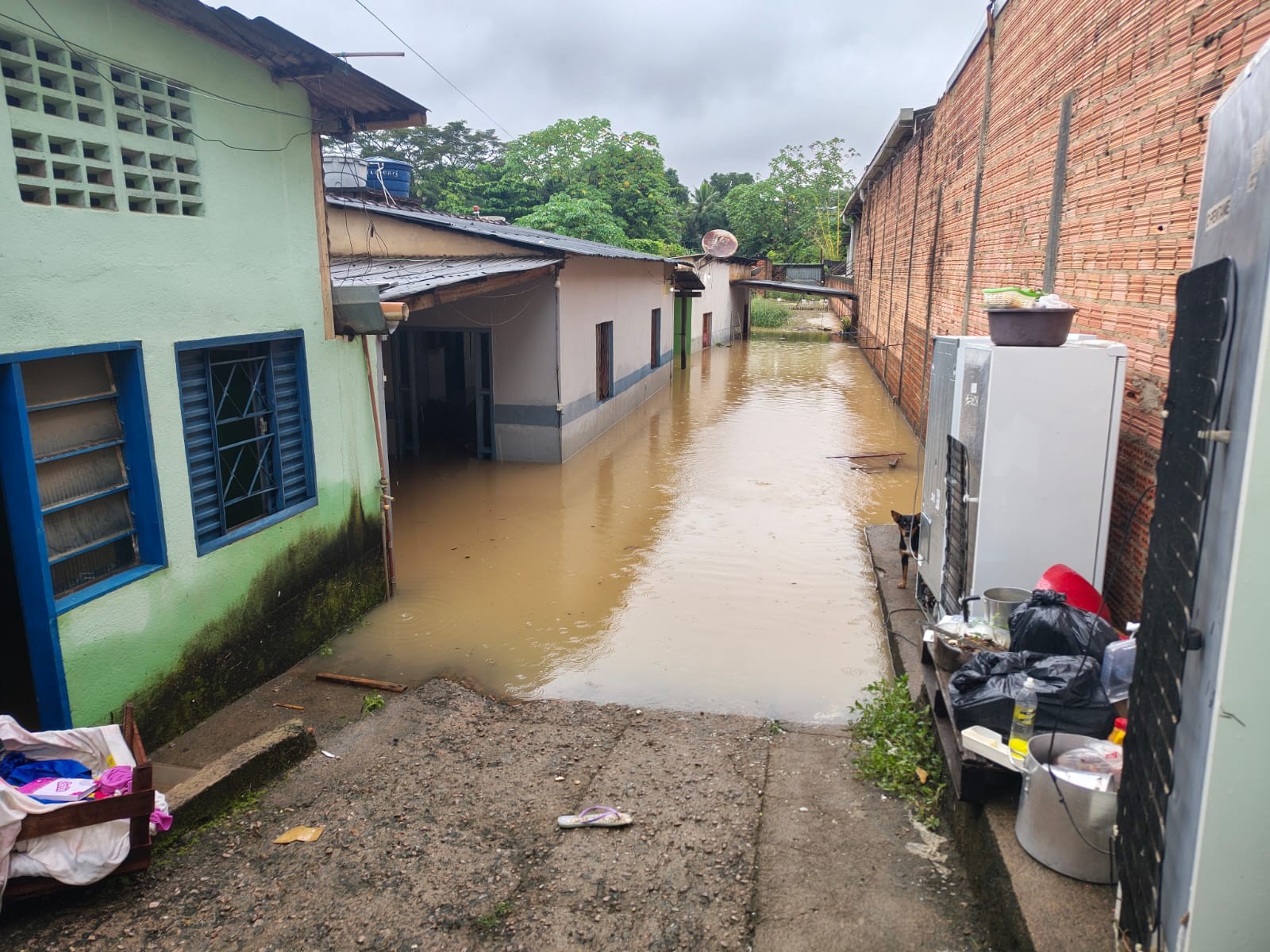 Famílias ficam desalojadas após chuvas em Porto Velho