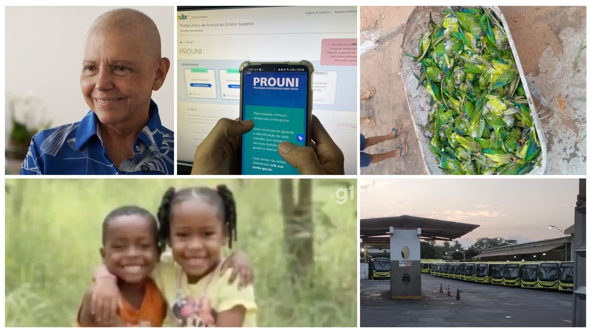 Vc viu? Greve dos rodoviários, buscas por crianças em Bacabal, morte de mais de 350 periquitos e outras notícias da semana no g1 MA