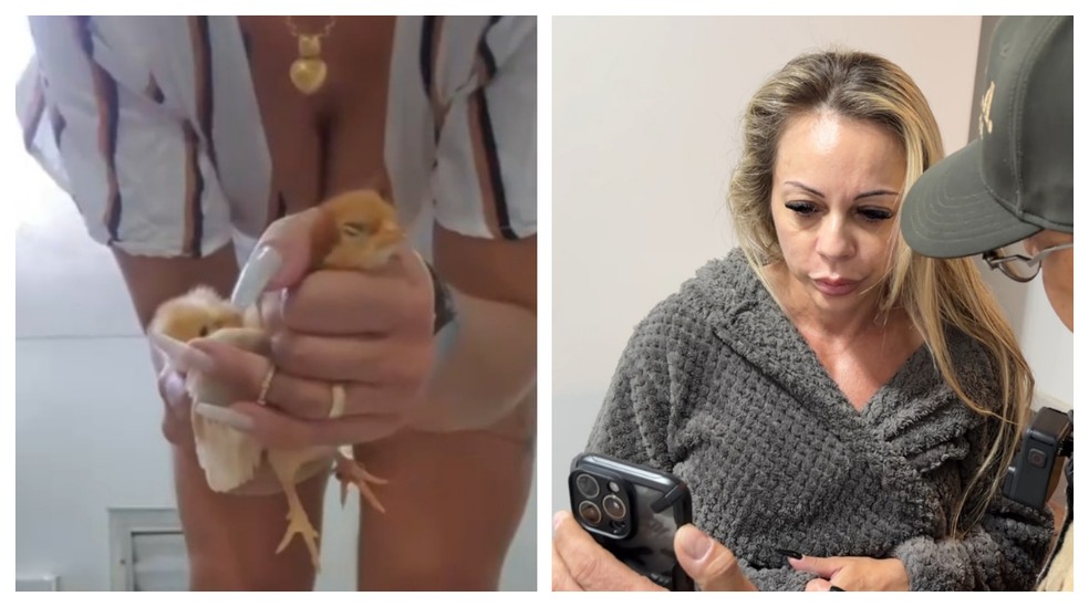 Daiana Schuinsekel de Almeida foi presa na casa dela nesta quinta-feira (8), acusada de maus tratos a animais e zoosadismo. — Foto: Reprodução/TV Globo